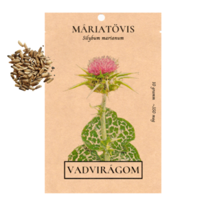 Máriatövis (Silybum marianum) 10g, ~350 vetőmag