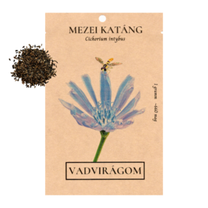 Mezei katáng mag (Cichorium intybus) 1g / 10g
