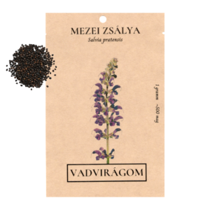 Mezei zsálya (Salvia pratensis) 1g, ~500 mag