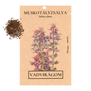 Muskotályzsálya (Salvia sclarea) 2g, ~500 mag