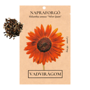 Napraforgó (Helianthus annuus „Velvet Queen”) 2g, ~80 mag