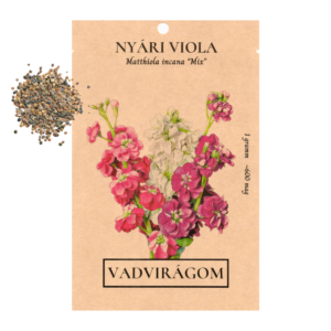 Nyári viola (Matthiola incana) – 1 g, ~600 mag