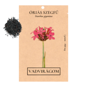 Óriás szegfű (Dianthus giganteus) 1g, ~900 mag