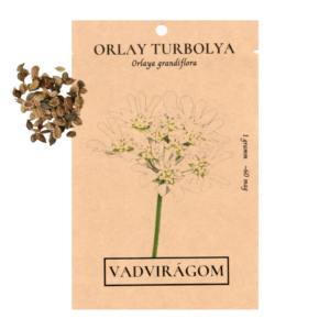 Orlay turbolya (Orlaya grandiflora) 1g, ~60 mag
