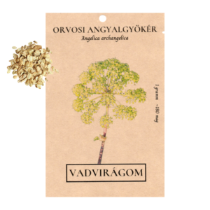 Orvosi angyalgyökér (Angelica archangelica) 1g, ~180 mag