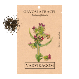 Orvosi atracél (Anchusa officinalis) 0,5g, ~120 mag