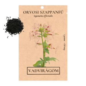 Orvosi szappanfű (Saponaria officinalis) 1g, ~750 mag