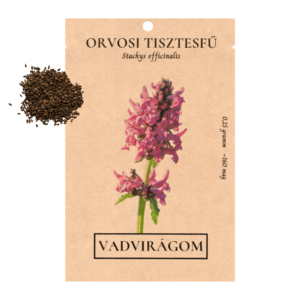 Orvosi tisztesfű (Stachys officinalis/Betonica officinalis) 0,25g, ~160 mag