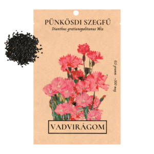 Pünkösdi szegfű (Dianthus gratianopolitanus Mix) 0,5g, ~300 mag
