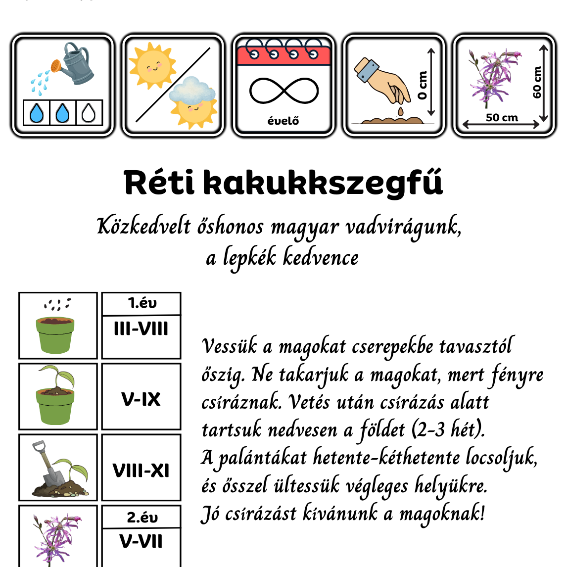 réti kakukkszegfű - Lychnis flos-cuculi - őshonos magyar vadvirág