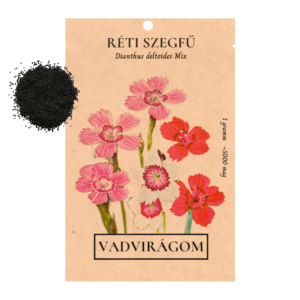 Réti szegfű (Dianthus deltoides Mix) 1g, ~5000 mag
