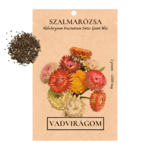 Szalmarózsa (Helichrysum bracteatum „Swiss Giant Mix”) 2g, ~2500 mag