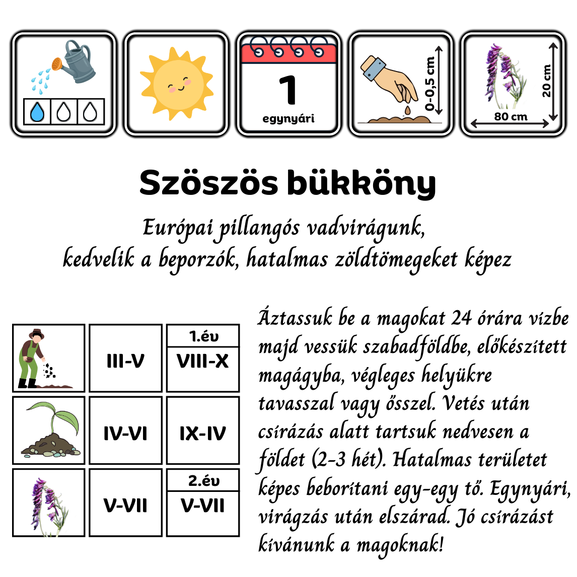 szöszös bükköny - Vicia villosa - őshonos magyar vadvirág