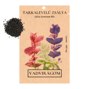 Tarkalevelű zsálya (Salvia horminum Mix) 2g, ~800 mag