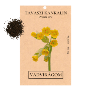 Tavaszi kankalin (Primula veris) 0,1g, ~100 mag