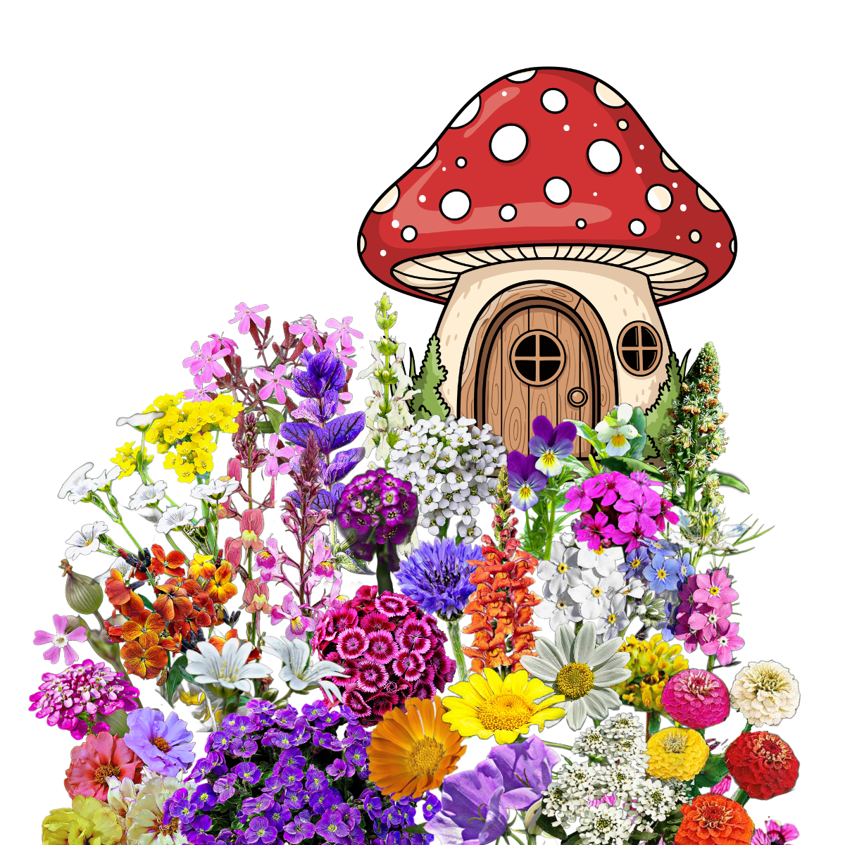 Alacsony virágos magkeverék, alacsony méhlegelő, méhlegelő utcafrontra