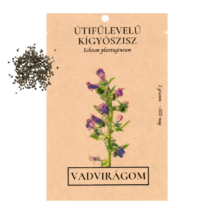 Útifűlevelű kígyószisz (Echium plantagineum) 2g, ~500 mag