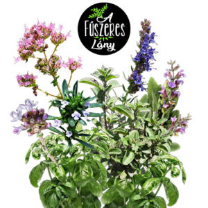 ÚJ – BOSZORKÁNYKONYHA – fűszermag-válogatás