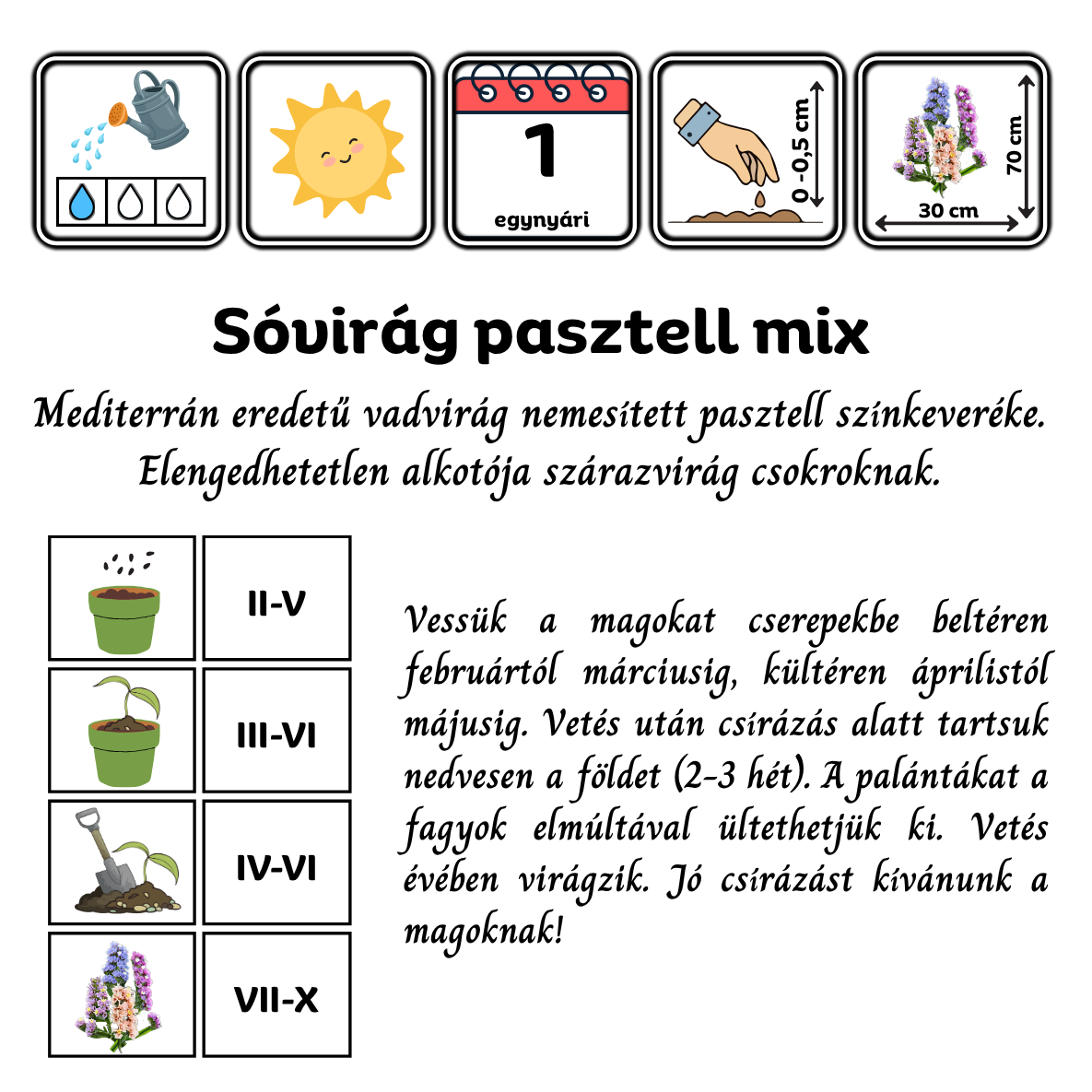 Sóvirág pasztell mix (Limonium sinuatum Pastel Mix) 0,5g, ~170 mag - Image 2