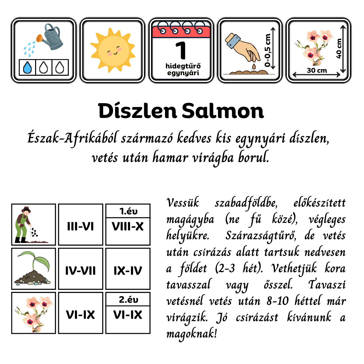 Díszlen Salmon (Linum grandiflorum Salmon) 2g, ~600 mag - Image 2